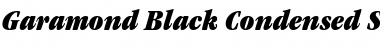 Download Garamond Black Condensed SSi Font Download Garamond Black Condensed SSi Font