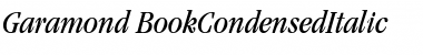 Garamond BookCondensedItalic Font