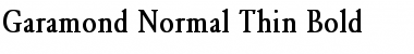 Download Garamond-Normal Thin Font Download Garamond-Normal Thin Font