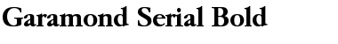 Download Garamond-Serial Font Download Garamond-Serial Font