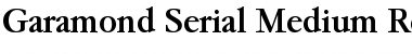 Download Garamond-Serial-Medium Font Download Garamond-Serial-Medium Font