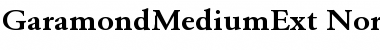 Download GaramondMediumExt-Normal Font Download GaramondMediumExt-Normal Font