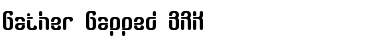Download Gather Gapped BRK Font Download Gather Gapped BRK Font