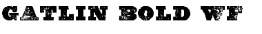 Download Gatlin Bold WF Font Download Gatlin Bold WF Font