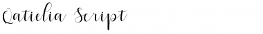 Download Qatielia Script Font Download Qatielia Script Font
