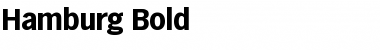 Download Hamburg-Bold Font Download Hamburg-Bold Font