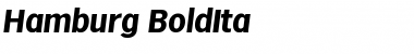 Download Hamburg-BoldIta Font Download Hamburg-BoldIta Font