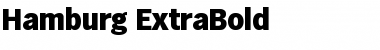 Download Hamburg-ExtraBold Font Download Hamburg-ExtraBold Font