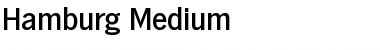 Download Hamburg-Medium Font Download Hamburg-Medium Font