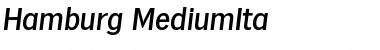 Download Hamburg-MediumIta Font Download Hamburg-MediumIta Font