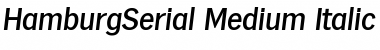 Download HamburgSerial-Medium Font Download HamburgSerial-Medium Font
