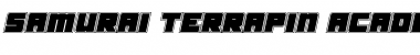 Download Samurai Terrapin Academy Italic Font Download Samurai Terrapin Academy Italic Font