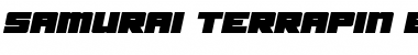 Download Samurai Terrapin Expanded Italic Font Download Samurai Terrapin Expanded Italic Font