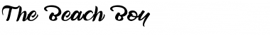 Download The Beach Boy Font Download The Beach Boy Font