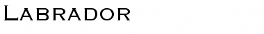 Download Labrador Font Download Labrador Font