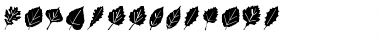 Download LeafAssortment Font Download LeafAssortment Font