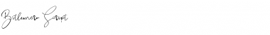 Download Bitlamero Script Font Download Bitlamero Script Font