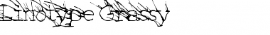 Download LinotypeGrassy Font Download LinotypeGrassy Font