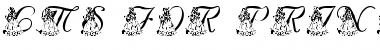 Download LMS For Princess Julie Font Download LMS For Princess Julie Font