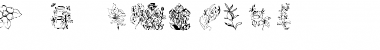 Download LS503flowers1a Font Download LS503flowers1a Font