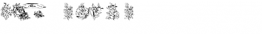 Download LSFloral1 Font Download LSFloral1 Font
