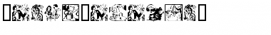 Download MagicCatalog2 Font Download MagicCatalog2 Font