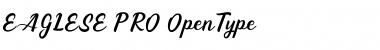 Download Eaglese Pro Font Download Eaglese Pro Font