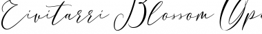 Download Eivitarri Blossom Font Download Eivitarri Blossom Font
