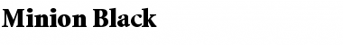 Download Minion-Black Font Download Minion-Black Font