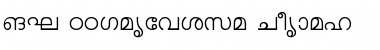 Download ML-TTKarthika Font Download ML-TTKarthika Font
