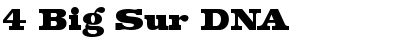Download 4 Big Sur DNA Font Download 4 Big Sur DNA Font