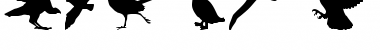 Download Birds of a Feather Font Download Birds of a Feather Font