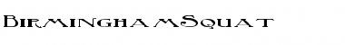 Download BirminghamSquat Font Download BirminghamSquat Font