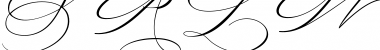 Download Salwomen Font Download Salwomen Font