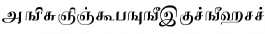 Download AkrutiTmlChola Font Download AkrutiTmlChola Font