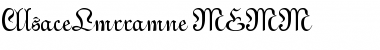Download AlsaceLorraine DEMO Font Download AlsaceLorraine DEMO Font