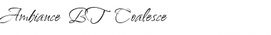 Download Ambiance BT Font Download Ambiance BT Font