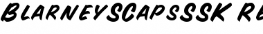 Download BlarneySCapsSSK Font Download BlarneySCapsSSK Font
