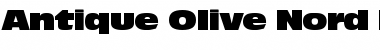 Download Antique Olive Nord P Font Download Antique Olive Nord P Font