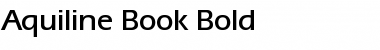 Download Aquiline Book Font Download Aquiline Book Font
