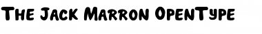 THE JACK MARRON Regular Font