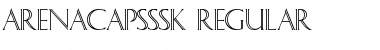 Download ArenaCapsSSK Font Download ArenaCapsSSK Font