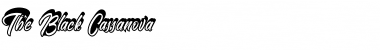 Download The Black Cassanova Font Download The Black Cassanova Font