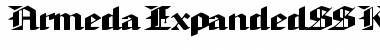 Download ArmedaExpandedSSK Font Download ArmedaExpandedSSK Font