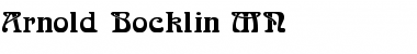 Download Arnold Bocklin MN Font Download Arnold Bocklin MN Font
