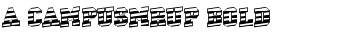 Download a_CampusMrUp Font Download a_CampusMrUp Font