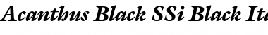 Download Acanthus Black SSi Font Download Acanthus Black SSi Font