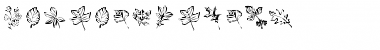 Download ArborisFolium Font Download ArborisFolium Font