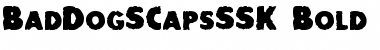 Download BadDogSCapsSSK Font Download BadDogSCapsSSK Font