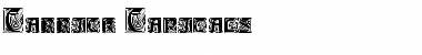 Download Carrick Capitals Font Download Carrick Capitals Font